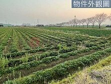 新市1分7方正小資農地