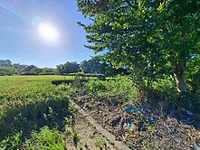 中壢區中正路都計內農地