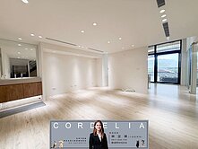 面寬8M挑高店面🐶新店琪琪