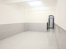 近史博館安南醫院全新翻修孝親大地坪車墅  