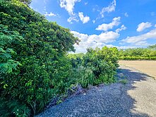 方姐推推🎯恆春市區車程3分鐘-雙面臨路農牧美地