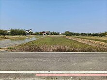 桃園市觀音區近新坡方正美農地