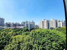 買屋找怡蓁🌟面安邦公園景觀宅+車