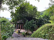 🌼大板根景觀小別墅~大地坪