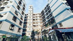 公園芳鄰|華廈三房+平車| 稀有陽台進出