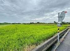 出價談！新豐．崁頭段．大面寬超值農地