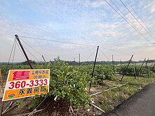 坑口段農地|近樹德科大|千坪開心豐盛農場