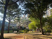 大搶手👍設籍雙敦化學區高樓電梯2房土地大近國館