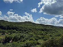 天藍山綠水美包租公2房2衛~鋼鐵強強