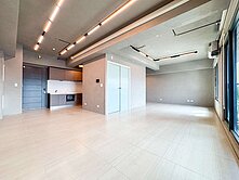 巨蛋商圈|V Park輕奢御邸+平車