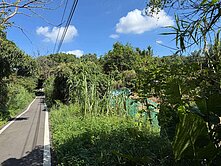 💖小潔好屋💖近平鎮南勢重劃區都內農