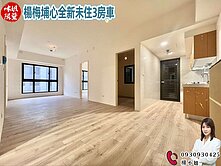 🍎楊梅埔心全新未住3房車🍎