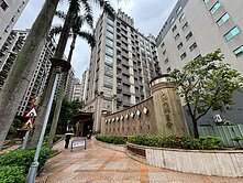 獨家必看!!『群星會樹景大二房』🔥中信姿姿🔥