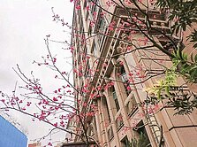 麗泉皇宮｜中和雙捷運圈的靜謐兩房宅~*找史黛拉