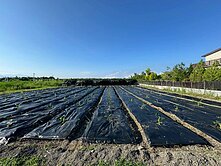 新埤鄉新華段都農347坪