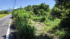 🎀專約🌳恆春市區車程3分鐘-雙面臨路農牧美地