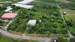 萬巒鄉鹿寮百果園農地S