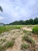仁武-觀音湖段-都內方正農地