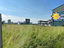 【獨家專任】正黎明路大面寬超值建地