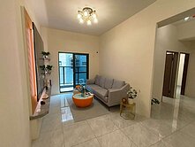 大社中山商圈全新新加坡室電梯3房平車