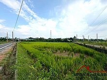 🔥 熱騰騰釋出!六甲稀有大面寬農地登場