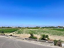 學甲平東段低總價美農地