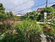 45米面寬獨棟休閒別墅(未保存)