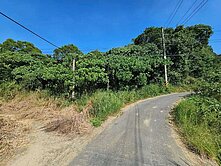 小資也能當地主!關廟超值農地1.8分釋出