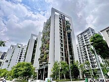 🌟信實逸瑄🌟鉅虹森美館#河岸第一排三房雙平車