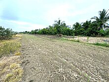 專約便宜安南新吉工業/國8/稀有都內農地