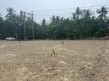 園潭大橋旗山大面寬臨14米路豐盛農地