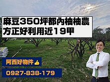 麻豆近市區350坪都內柚柚農
