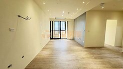 A5捷運旁大道鎏域(平車)