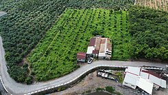 新埤超便宜農作用地