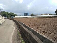 八德茄苳路旁一般農地 