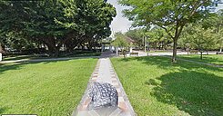 ✦ 【獨家專任】| 民生社區靜巷・電梯大3房🌳 