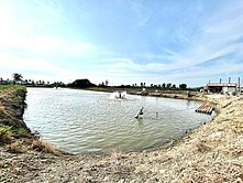 高雄大學旁|臨路農地|橋頭頂鹽田段增值農地