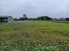 青埔高鐵站66坪小田