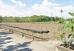 里港恬田小境美農地(3.15分)