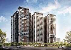 專❗️高鐵正對面❗️大華縱橫❗️兩房平車電動車位