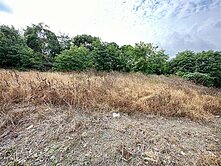 雙面臨路農業區土地