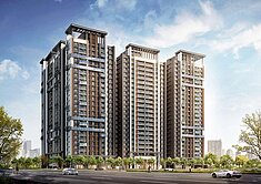 專)大華縱橫~大兩房平車~全烏日我最便宜