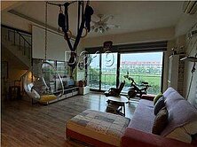 (專)我是開發，近南科亞太棒球旁雙車電梯別墅