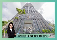 🍎高雄收藏品THEONE🌟露臺戶千萬裝潢名邸