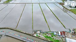 🌟獨家🌟壯圍鄉五權段845坪解套繪足坪農地