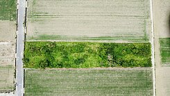 🍧獨家🍧義竹頭竹村莊旁俗農地