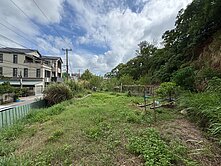 近桃園航空城.大面寬臨路農地