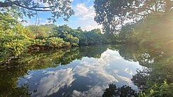 【成實好地】龍科三期臨路持分徵收地