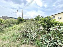 永安💕優質一般農💕有水有電💕前後有路