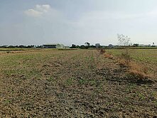 台南市東山區頂窩段1324.33坪